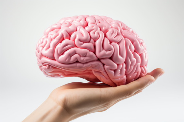 Día Mundial del Cerebro: un llamado a cuidar la salud cerebral en todas las etapas de la vida