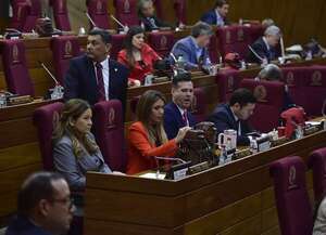 Diputados rechazan que usuarios acumulen su saldo telefónico o de datos - Política - ABC Color