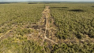 Investigación relata sobre narcopista que operaba en el Chaco paraguayo