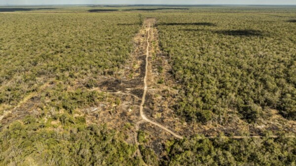 Investigación relata sobre narcopista que operaba en el Chaco paraguayo