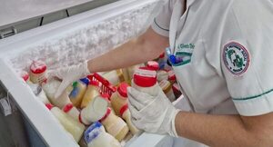 En seis meses, 238 bebés prematuros recibieron alimentación con leche de Banco pasteurizada en el IPS