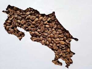 Café como símbolo de identidad costarricense - Gastronomía - ABC Color