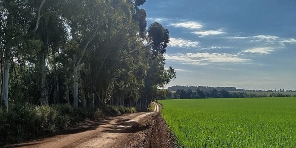 Bella Vista vive la antesala del WRC Rally del Paraguay con participación comunitaria • PARAGUAY TV