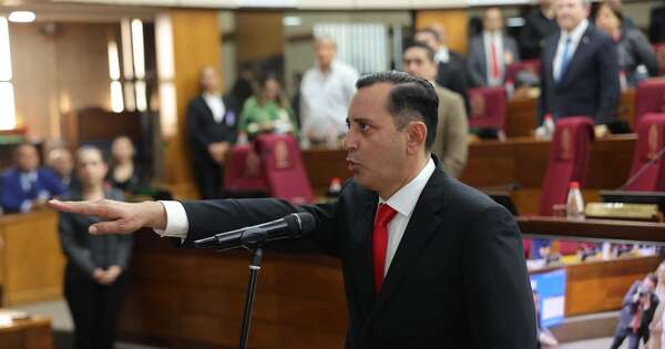 La Nación / Alfonso Noria juró como senador en reemplazo de Gustavo Leite