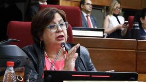 Senado se pierde en rencillas políticas y olvida necesidades del pueblo, según Martínez e Iramain
