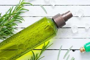 Shampoo viral con el agregado de romero: beneficios reales y cómo usarlo bien - Estilo de vida - ABC Color