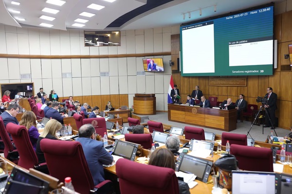 Cámara Alta insta a Seprelad y otros entes a investigar supuestas cuentas offshore de Abdo