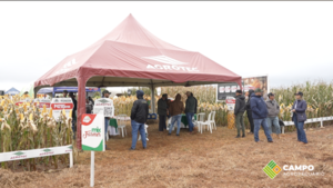 Agrotec exhibió en Farmer Show 2025 cinco híbridos para todas las necesidades
