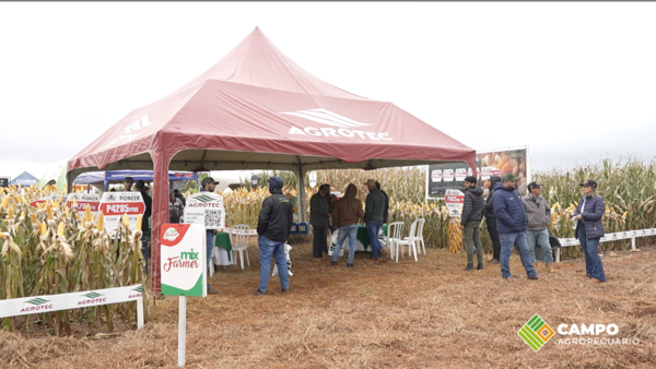 Agrotec exhibió en Farmer Show 2025 cinco híbridos para todas las necesidades
