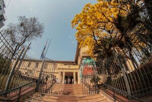 Salud establece oficialmente la carga horaria por vínculo para profesionales médicos - .::Agencia IP::.