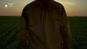 Video: CAMINO AL DESARROLLO | BANCOP