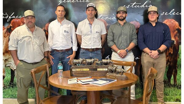 Genética superior: el remate Cooperados 2026 genera grandes expectativas en el mercado ganadero