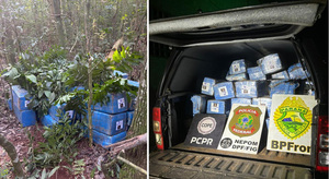 Decomisan más de 1.000 kg de droga paraguaya en operativos simultáneos - La Clave