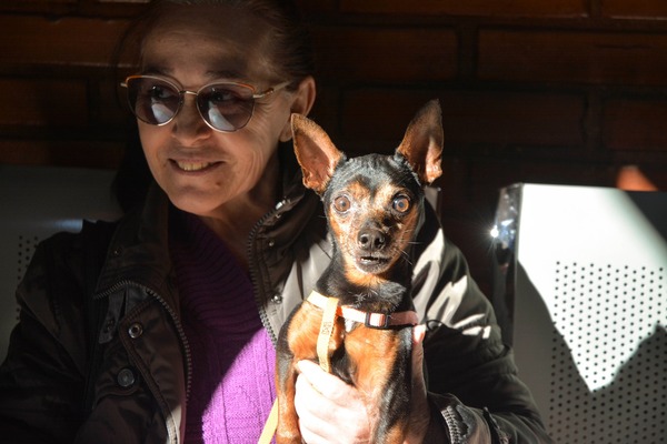 Hospital Veterinario de la FCV-UNA ofrece atención integral y accesible para mascotas - .::Agencia IP::.