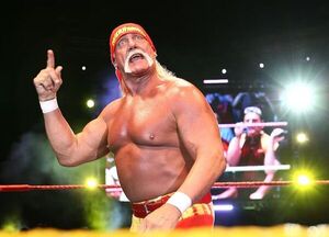 Popular / ¡Ma'ena! Ñandereja el famoso luchador Hulk Hogan