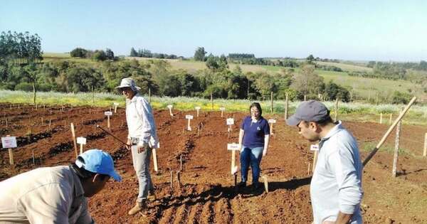 La Nación / Primera etapa de Encuesta Nacional Agropecuaria abarcó a más de 5,4 millones de hectáreas