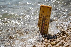 El 96 % de los océanos sufrió olas de calor extremas en 2023 - Ciencia - ABC Color