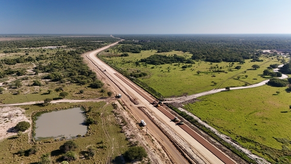 Fauna protegida en el Bajo Chaco durante las obras del Lote 2 de la Ruta PY12