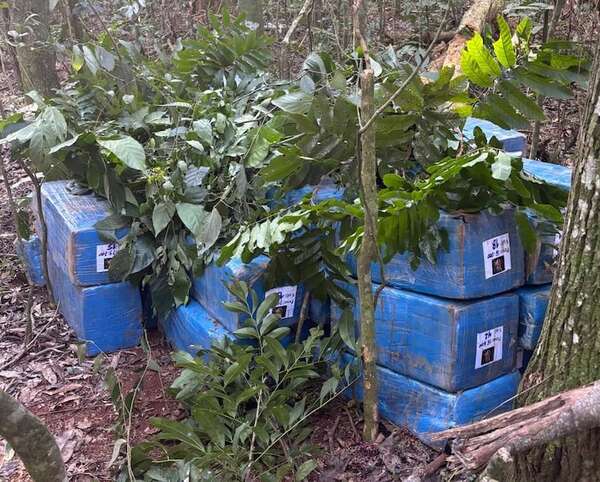 Incesante narcotráfico en la frontera: incautan más de una tonelada de droga en tres operativos - ABC en el Este - ABC Color