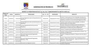 Cuestionan al gobernador de Ñeembucú por presunto uso irregular de recursos, evadiendo a Contrataciones Públicas - Nacionales - ABC Color