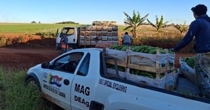 Productores de Itakyry alistan sus mejores cosechas para abastecer alimentación escolar al retorno a clases - ADN Digital