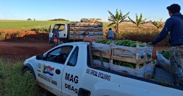Productores de Itakyry alistan sus mejores cosechas para abastecer alimentación escolar al retorno a clases - ADN Digital