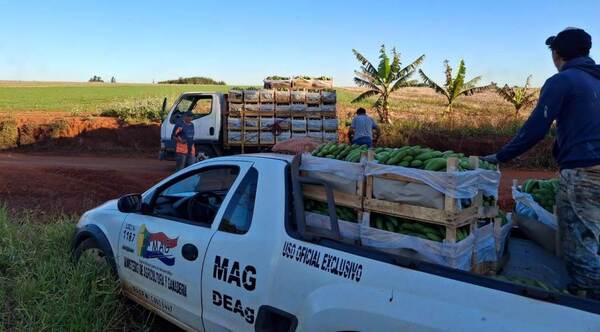 Productores se alistan para la vuelta a clases