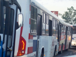 Reforma de transporte buscaría romper monopolio