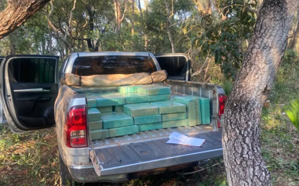Incautan casi 2 toneladas de marihuana tras operativo en campamento narco de Amambay