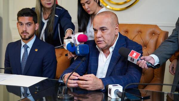 Bachi apunta a que reforma del transporte público se sancione en 30 días