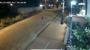 Video: un hombre casi se electrocuta al intentar robar el medidor de la ANDE, en Luque - Policiales - ABC Color
