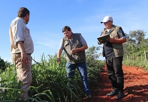 Denuncian cifras infladas en titulaciones de tierras del INDERT - Portal Digital Cáritas Universidad Católica
