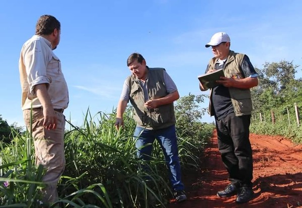 Denuncian cifras infladas en titulaciones de tierras del INDERT - Portal Digital Cáritas Universidad Católica