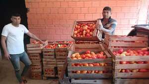 Productores de tomate exigen a la DNIT trazabilidad comercial para frenar el contrabando - Nacionales - ABC Color