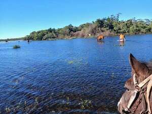 Desesperación en el campo: el agua avanza y autoridades guardan silencio - Nacionales - ABC Color