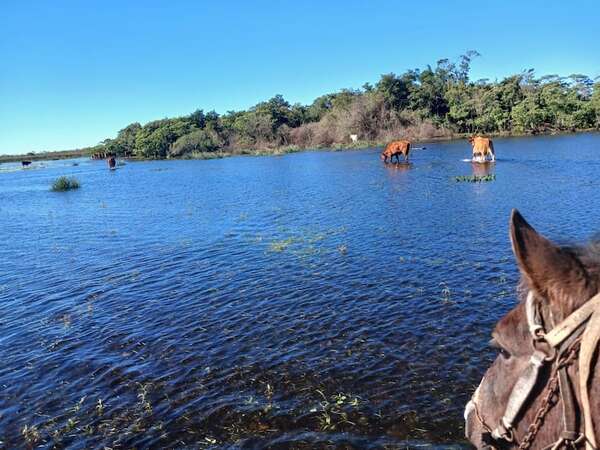 Desesperación en el campo: el agua avanza y autoridades guardan silencio - Nacionales - ABC Color
