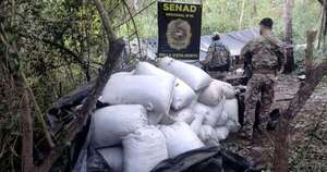 La Nación / Senad destruye cuatro toneladas de marihuana en Bella Vista Norte