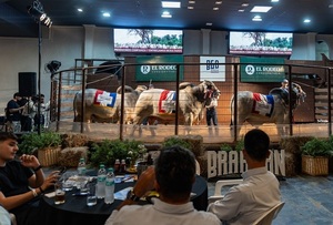 Innovación, ventas totales y precios récords para la Brahman en Expo Paraguay