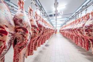 Carne paraguaya pisa fuerte en  70 países y crece al 37%  - ABC Rural - ABC Color