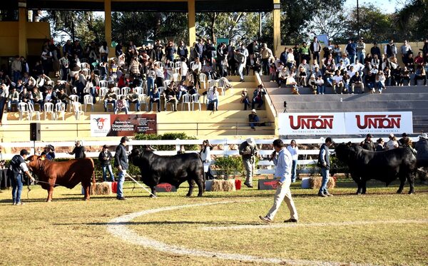 Brangus se consagra en la Expo Paraguay 2025