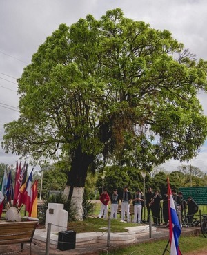 Los árboles de áreas protegidas se hacen protagonistas de su propia categoría en “Colosos de la Tierra”