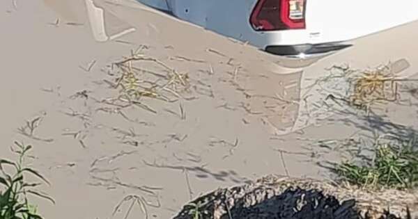 La Nación / Hallan cuerpos de hombres desaparecidos en el interior de una camioneta rescatada de un tajamar
