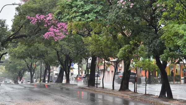 Domingo con alerta por tormentas, lluvias y ambiente fresco