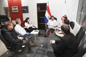 Gobernación de Alto Paraná impulsa proyectos de energía solar con empresa internacional WEG - ADN Digital