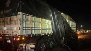 Incautan en Brasil más de 4.500 kilos de marihuana paraguaya