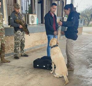 Can antidrogas detecta cocaína en control fronterizo de la SENAD en el Chaco