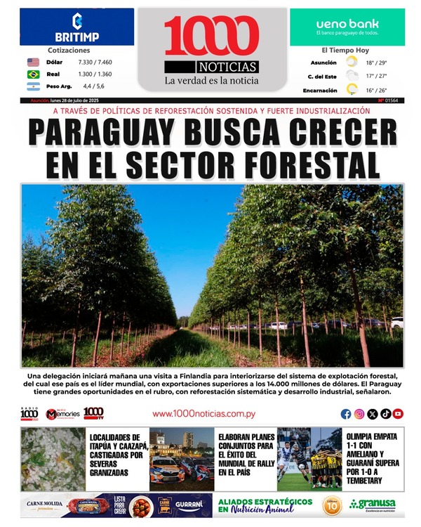 28 Julio 2025
