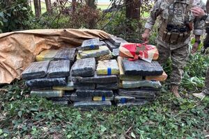 Decomisan casi 870 kilos de marihuana ocultos en zona boscosa en Itakyry