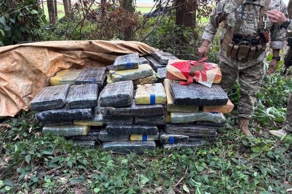 Decomisan casi 870 kilos de marihuana ocultos en zona boscosa en Itakyry