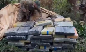 Operativo sorpresa de la Senad halla cargamento de casi 870 kilos de marihuana en Itakyry - OviedoPress